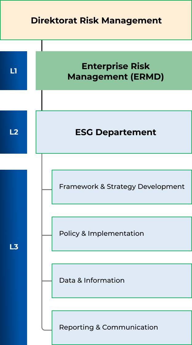 Risk Management Directorate Structure
