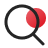 Icon Search