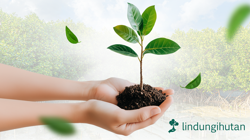 Poin Spekta  Lindungi Hutan Card Banner 287x161