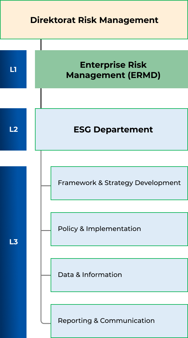 Struktur Direktorat Risk Management